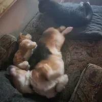 processed/3b43f6b9-ed39-4fe4-8093-661f87b4cb12/facility/34c5bd29-4b29-491f-89c0-512975f82d4d