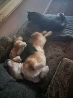 processed/3b43f6b9-ed39-4fe4-8093-661f87b4cb12/facility/34c5bd29-4b29-491f-89c0-512975f82d4d