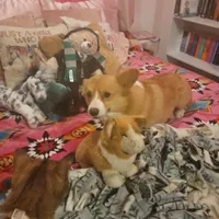 processed/3b43f6b9-ed39-4fe4-8093-661f87b4cb12/facility/3f47b992-4280-439d-a9b4-0c161f66d776