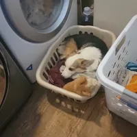 processed/3b43f6b9-ed39-4fe4-8093-661f87b4cb12/facility/4db03312-8720-4d3d-bd61-4509a34a9d24