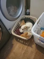 processed/3b43f6b9-ed39-4fe4-8093-661f87b4cb12/facility/4db03312-8720-4d3d-bd61-4509a34a9d24