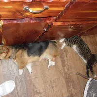 processed/3b43f6b9-ed39-4fe4-8093-661f87b4cb12/facility/6a920983-6d70-4e04-b1f8-8b8e6cd5e1a0