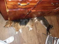 processed/3b43f6b9-ed39-4fe4-8093-661f87b4cb12/facility/6a920983-6d70-4e04-b1f8-8b8e6cd5e1a0