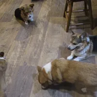 processed/3b43f6b9-ed39-4fe4-8093-661f87b4cb12/facility/9fdbacf2-c447-44a9-9e39-9ee6f84b08db