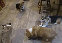 processed/3b43f6b9-ed39-4fe4-8093-661f87b4cb12/facility/9fdbacf2-c447-44a9-9e39-9ee6f84b08db