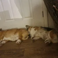 processed/3b43f6b9-ed39-4fe4-8093-661f87b4cb12/facility/b400c877-d0f3-46d8-b6b1-30f97253a7c7