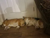 processed/3b43f6b9-ed39-4fe4-8093-661f87b4cb12/facility/b400c877-d0f3-46d8-b6b1-30f97253a7c7