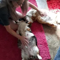 processed/3b43f6b9-ed39-4fe4-8093-661f87b4cb12/facility/e1c58ba0-d345-402b-a6cd-08742f47cf7b