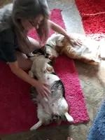 processed/3b43f6b9-ed39-4fe4-8093-661f87b4cb12/facility/e1c58ba0-d345-402b-a6cd-08742f47cf7b