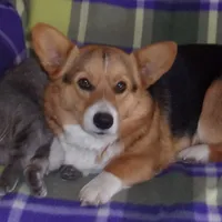 processed/3b43f6b9-ed39-4fe4-8093-661f87b4cb12/facility/f9a30c66-6018-49a0-bd8e-a103a1a33f17