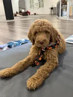Facility photo