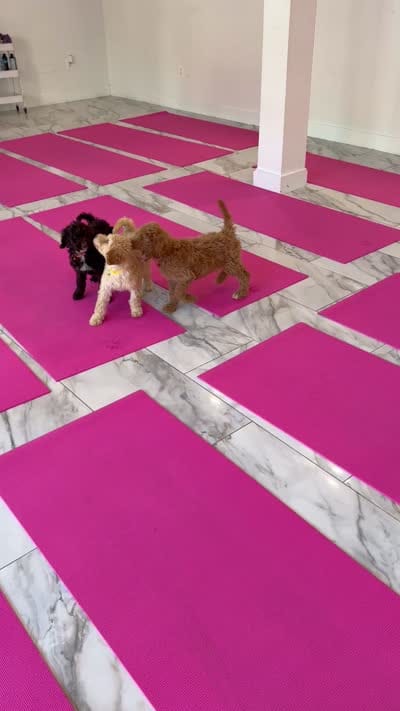 Facility video