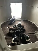 processed/3b5b0ebb-7821-4cb1-ac74-260faab5206a/facility/2956884e-c198-4718-bac1-2489df90232c