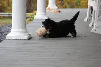 processed/3b5b0ebb-7821-4cb1-ac74-260faab5206a/facility/a62c28d9-971e-4f62-a328-a3025a59ded2