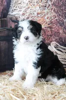 processed/3b5b0ebb-7821-4cb1-ac74-260faab5206a/facility/f6e6aa88-243e-4da9-b416-7a884141ba96