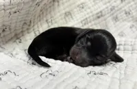 processed/3b692844-55e5-4346-b6f5-e38abc787e95/listing/0448b433-dbd3-4bb6-8cf0-00ae7e9a99dc/01c09b7f-31da-4a1f-b98d-fcee06dc392d