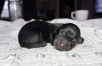 processed/3b692844-55e5-4346-b6f5-e38abc787e95/listing/0448b433-dbd3-4bb6-8cf0-00ae7e9a99dc/0bf9b262-3e95-43a8-95f1-f2b7ac849671