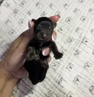 processed/3b692844-55e5-4346-b6f5-e38abc787e95/listing/0448b433-dbd3-4bb6-8cf0-00ae7e9a99dc/c5330600-f38f-428c-aee9-dd86f1da2e12