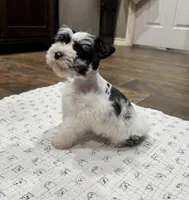 processed/3b692844-55e5-4346-b6f5-e38abc787e95/listing/8375fa6f-4c88-4308-bd19-26732e054687/137ca349-aa53-433b-8b1f-cffe9e6db269