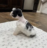 processed/3b692844-55e5-4346-b6f5-e38abc787e95/listing/8375fa6f-4c88-4308-bd19-26732e054687/3577890b-05db-4c02-8302-4cf1007c2c3b