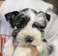 processed/3b692844-55e5-4346-b6f5-e38abc787e95/listing/8375fa6f-4c88-4308-bd19-26732e054687/36473864-1d03-43ec-a1bf-fb74ff1e026f