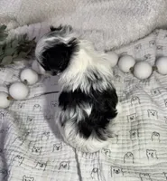 processed/3b692844-55e5-4346-b6f5-e38abc787e95/listing/8375fa6f-4c88-4308-bd19-26732e054687/7df8d5ec-a150-4cab-8ea9-832701df1148