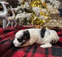 processed/3b692844-55e5-4346-b6f5-e38abc787e95/listing/8375fa6f-4c88-4308-bd19-26732e054687/8fa779c6-7355-4b40-8312-d4be2fbc3d8e