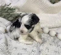 processed/3b692844-55e5-4346-b6f5-e38abc787e95/listing/8375fa6f-4c88-4308-bd19-26732e054687/a7a06243-4f10-4797-bdab-59b3a6d650b0