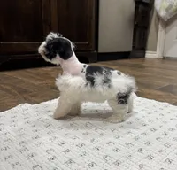 processed/3b692844-55e5-4346-b6f5-e38abc787e95/listing/8375fa6f-4c88-4308-bd19-26732e054687/e318715b-39fb-4c03-85e6-26406e5e186d