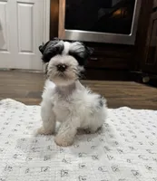 processed/3b692844-55e5-4346-b6f5-e38abc787e95/listing/8375fa6f-4c88-4308-bd19-26732e054687/f9e0af4e-9991-4b3b-b626-7ab4f8b09372