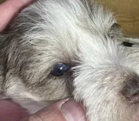 processed/3b692844-55e5-4346-b6f5-e38abc787e95/listing/960d71ac-c227-449b-98dd-16ff58f58d55/0ecd353c-3803-4f70-b172-5b35d371eb7b