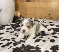 processed/3b692844-55e5-4346-b6f5-e38abc787e95/listing/960d71ac-c227-449b-98dd-16ff58f58d55/103941d9-04df-4ec0-9f34-a3fc153fd421