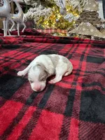 processed/3b692844-55e5-4346-b6f5-e38abc787e95/listing/960d71ac-c227-449b-98dd-16ff58f58d55/26696e0c-29dc-4f6f-831e-d7f777e0ab6d