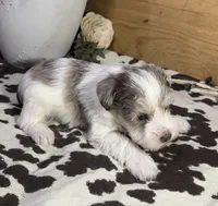 processed/3b692844-55e5-4346-b6f5-e38abc787e95/listing/960d71ac-c227-449b-98dd-16ff58f58d55/63bdf26d-9b38-4037-a544-03918e1eb776