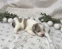 processed/3b692844-55e5-4346-b6f5-e38abc787e95/listing/960d71ac-c227-449b-98dd-16ff58f58d55/ee3d106c-d1b6-4b80-bc35-73b09d15f766