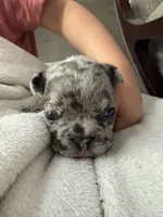 processed/3b7b8f0f-e4eb-4627-987e-9e4a67163629/listing/f9266a87-7bb5-4956-8928-49899b303064/08e0207e-32ce-4341-802d-b1e7ac2e1dcb