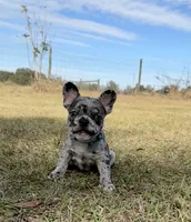 processed/3b7b8f0f-e4eb-4627-987e-9e4a67163629/listing/f9266a87-7bb5-4956-8928-49899b303064/1b5152cb-d540-4dca-85a5-5e3401a18eb4