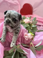 processed/3b7b8f0f-e4eb-4627-987e-9e4a67163629/listing/f9266a87-7bb5-4956-8928-49899b303064/6becea43-832f-456e-851a-f6d367156005