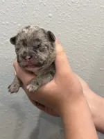 processed/3b7b8f0f-e4eb-4627-987e-9e4a67163629/listing/f9266a87-7bb5-4956-8928-49899b303064/7cfc1db8-0689-4283-a3ce-0d941c8b2d14