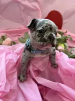 processed/3b7b8f0f-e4eb-4627-987e-9e4a67163629/listing/f9266a87-7bb5-4956-8928-49899b303064/8d15e92c-f165-43ba-abc4-9aca0ea21930