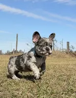 processed/3b7b8f0f-e4eb-4627-987e-9e4a67163629/listing/f9266a87-7bb5-4956-8928-49899b303064/a73ff652-0a74-48be-845e-1146409a7fcc