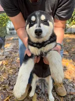 processed/3b7ee1b7-1a48-4666-a84b-fa51206e5f9c/listing/1a136345-eee4-4e1b-9f44-193380195fc3/10db483b-2ed9-4be5-b5d7-9bc53a738794