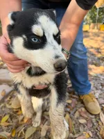 processed/3b7ee1b7-1a48-4666-a84b-fa51206e5f9c/listing/1a136345-eee4-4e1b-9f44-193380195fc3/40cc0561-9b6d-4606-af65-6becfb66dfcd