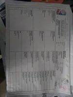 Puppies, a male Tibetan Mastiff for sale in Riverside, CA – Photo 5 of 8