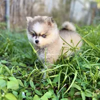 processed/3b8cc1bf-4bee-4f59-8dcb-d3c282605b92/facility/48ec5f21-f16f-49b2-895d-b29ab2795e90