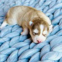 processed/3b8cc1bf-4bee-4f59-8dcb-d3c282605b92/facility/a2561228-0d8b-43b3-99f5-f78429213ce4