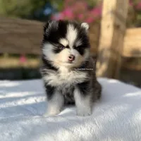 processed/3b8cc1bf-4bee-4f59-8dcb-d3c282605b92/facility/b1508171-cdbe-4a25-9596-ead76d48884b