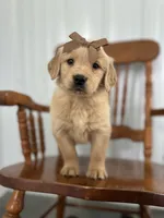 processed/3b950027-08db-48c1-9ee8-0a269d65e61a/listing/b5abf0eb-6441-4569-815e-93d1c4919adf/78ccc1cb-f393-4161-99eb-ef372d737eeb