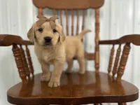 processed/3b950027-08db-48c1-9ee8-0a269d65e61a/listing/b5abf0eb-6441-4569-815e-93d1c4919adf/bade7264-67b3-44d1-9e99-a79af99eb051