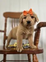 processed/3b950027-08db-48c1-9ee8-0a269d65e61a/listing/c4ed803b-3625-487e-88ec-83a87a4f1e63/0878ea32-8a38-408b-ab61-f2e90cf27ba7